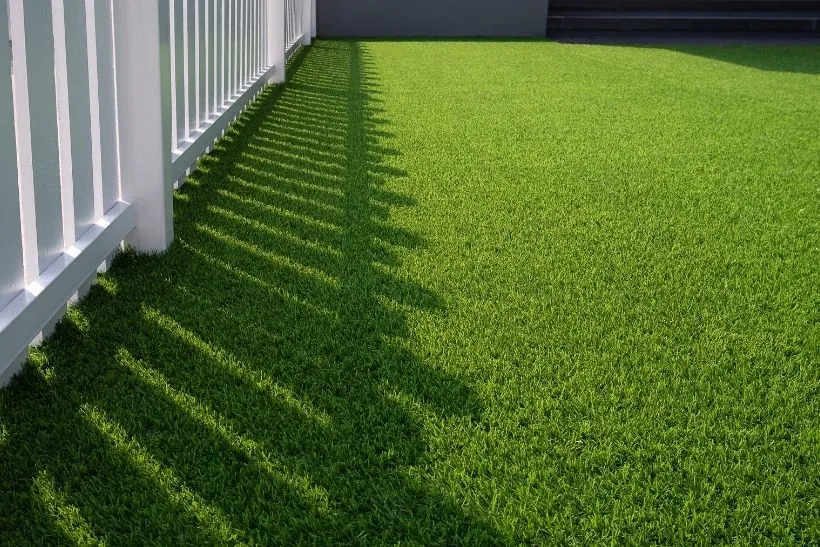 Top Lawn Care MN Company Providing Year-Round Turf Solutions